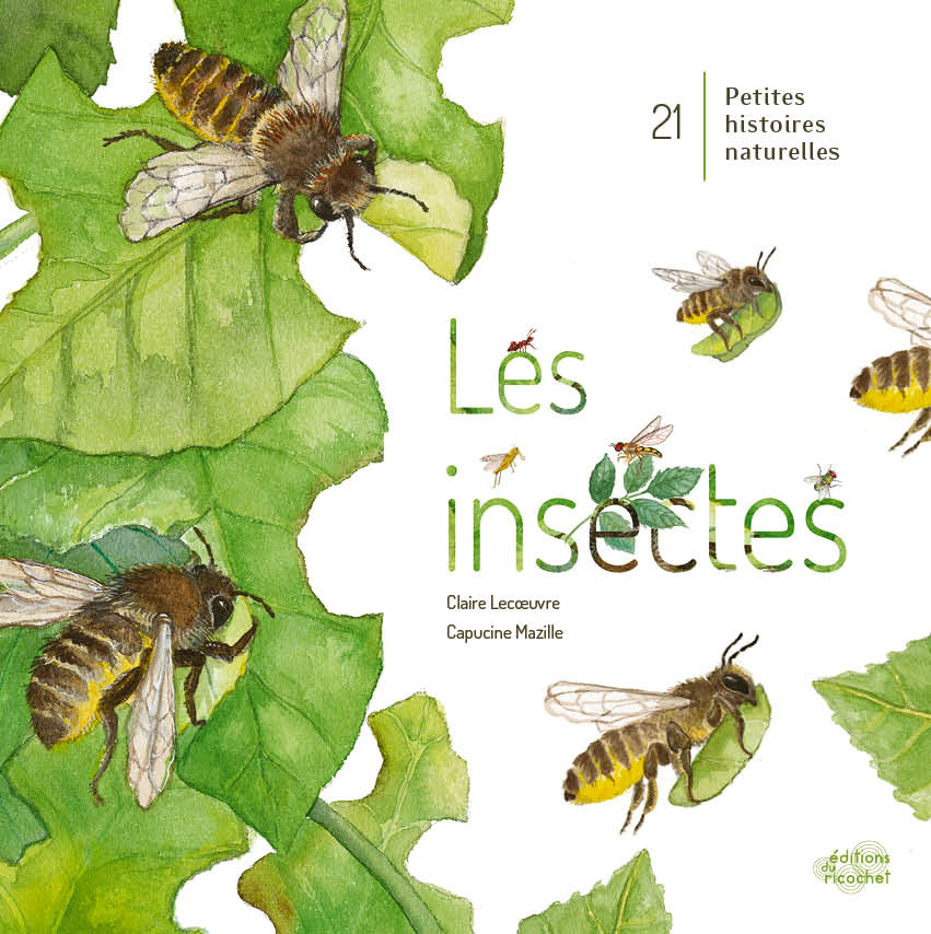 Les Insectes - Un monde à explorer